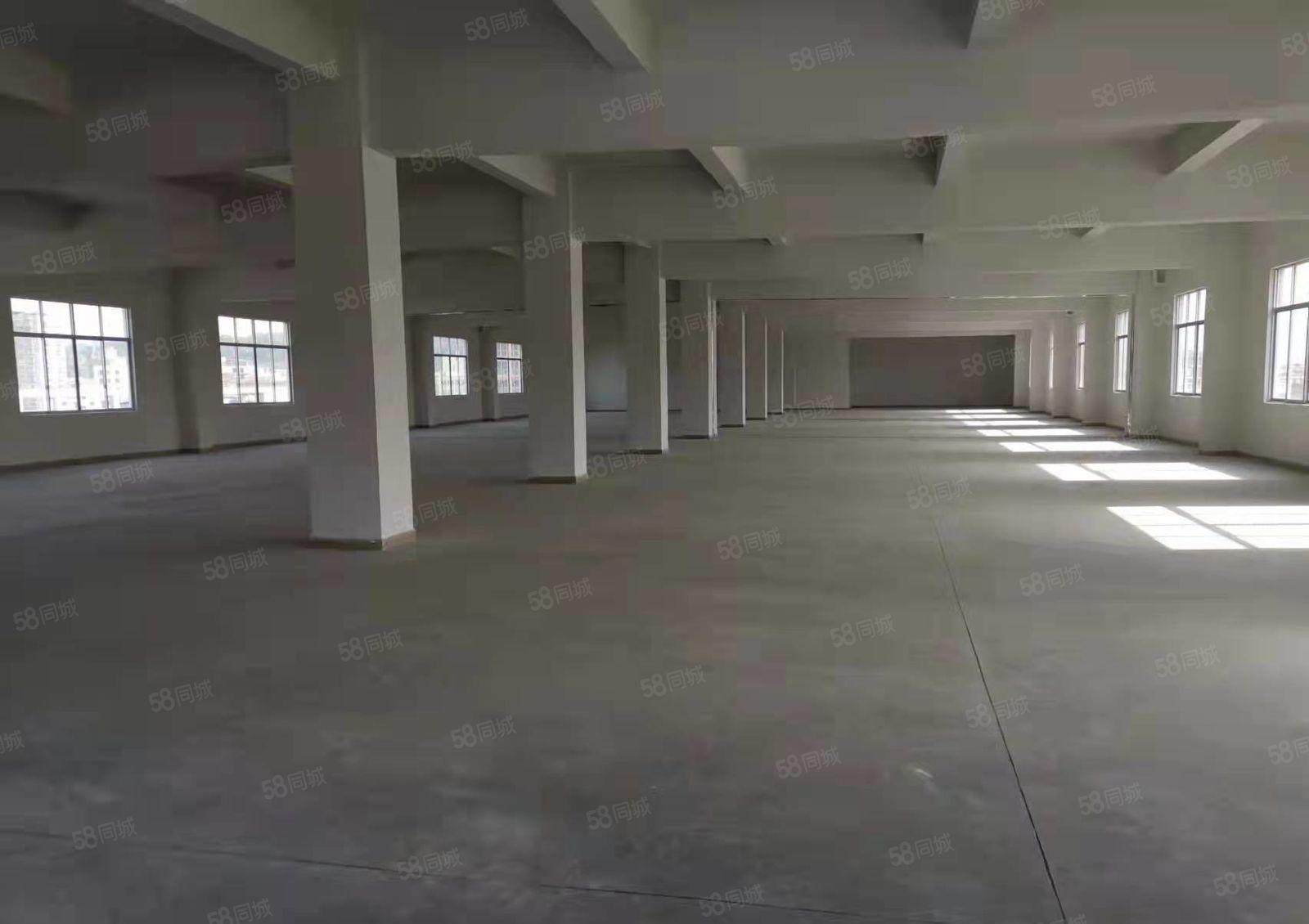 东莞市塘厦镇新出楼上厂房1680平米出租