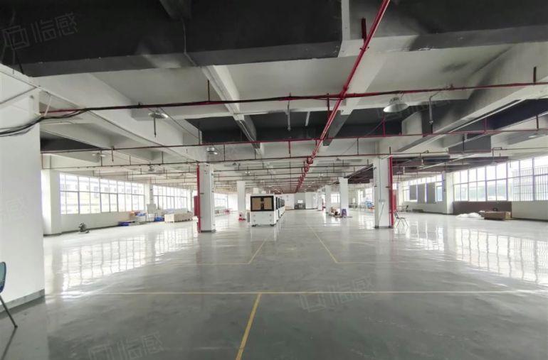 塘厦临深新空楼上2000平厂房，全新地坪漆办公室装修低价出租