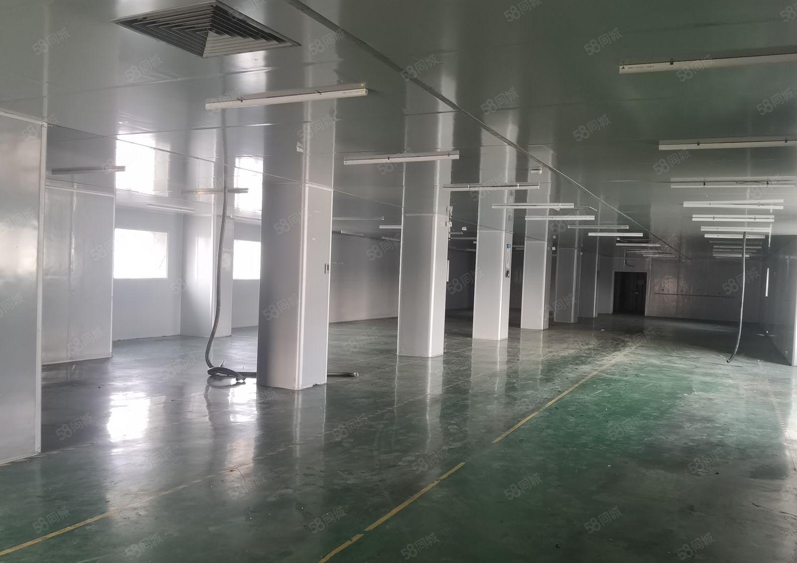 塘厦自带洁净车间 790平 0公滩 拎包即可生产 月租16元