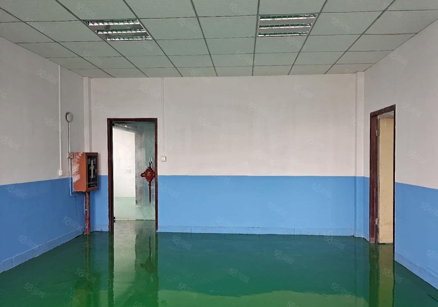 塘厦莲湖独院新出标准5楼580平方！全层地坪漆装修现成办公室