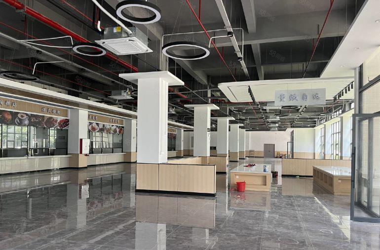 特价9.9塘厦凤凰岗新出高端工业园区现成装修1000大小可租