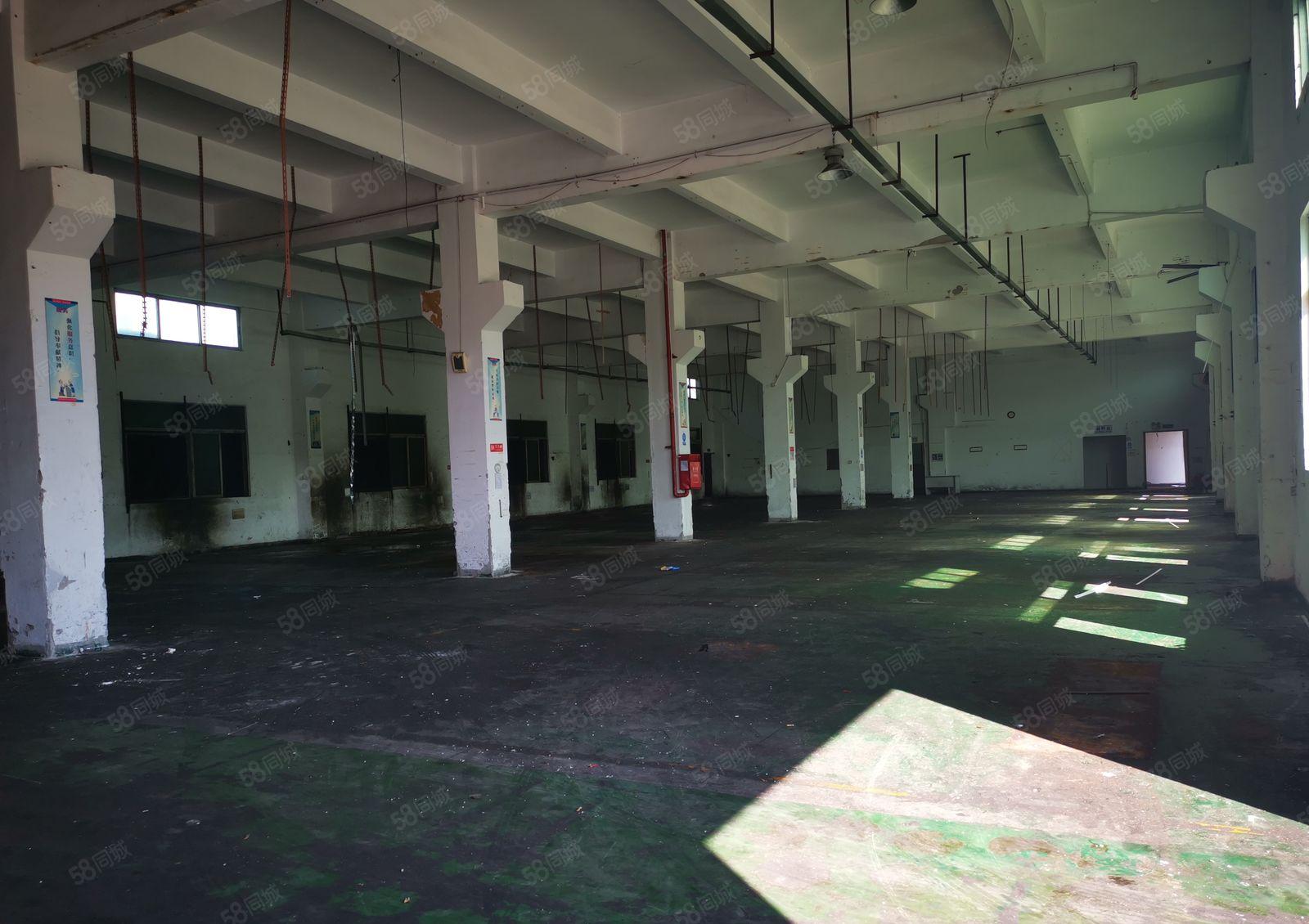 塘厦平山高速口，红本独院厂房整租16万