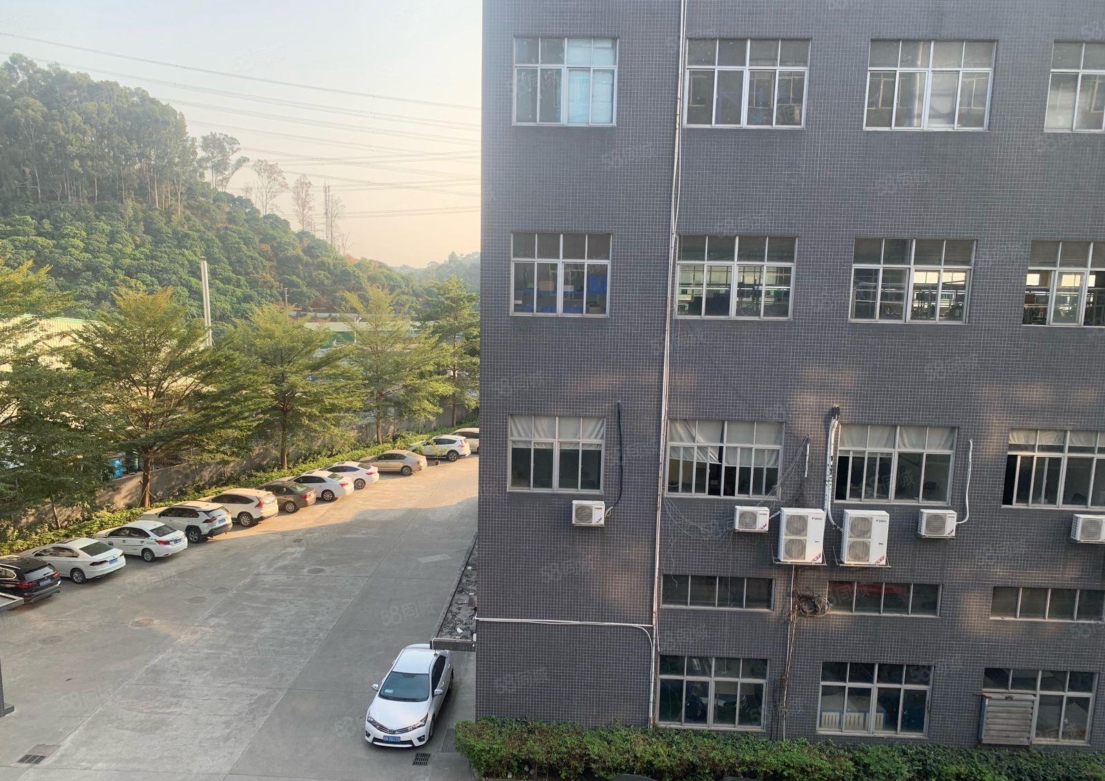 塘厦原房东厂房楼上2000平出租