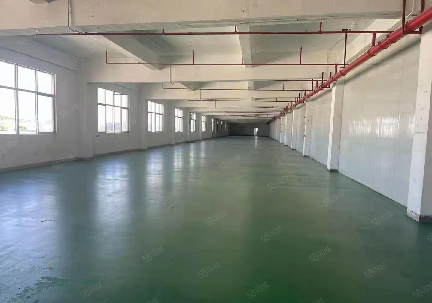 东莞塘厦镇石马新出楼上标准厂房500平米出租