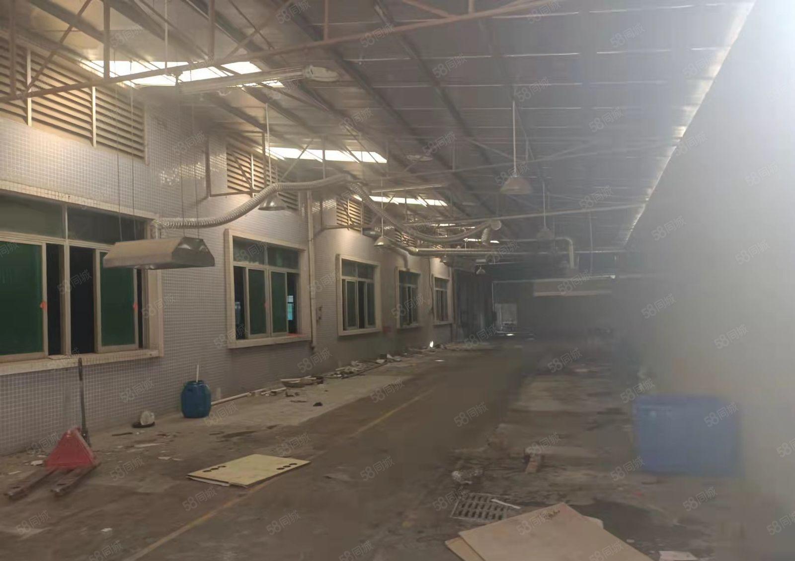 塘厦新出标准独院厂房 6060平方米 原房东直租