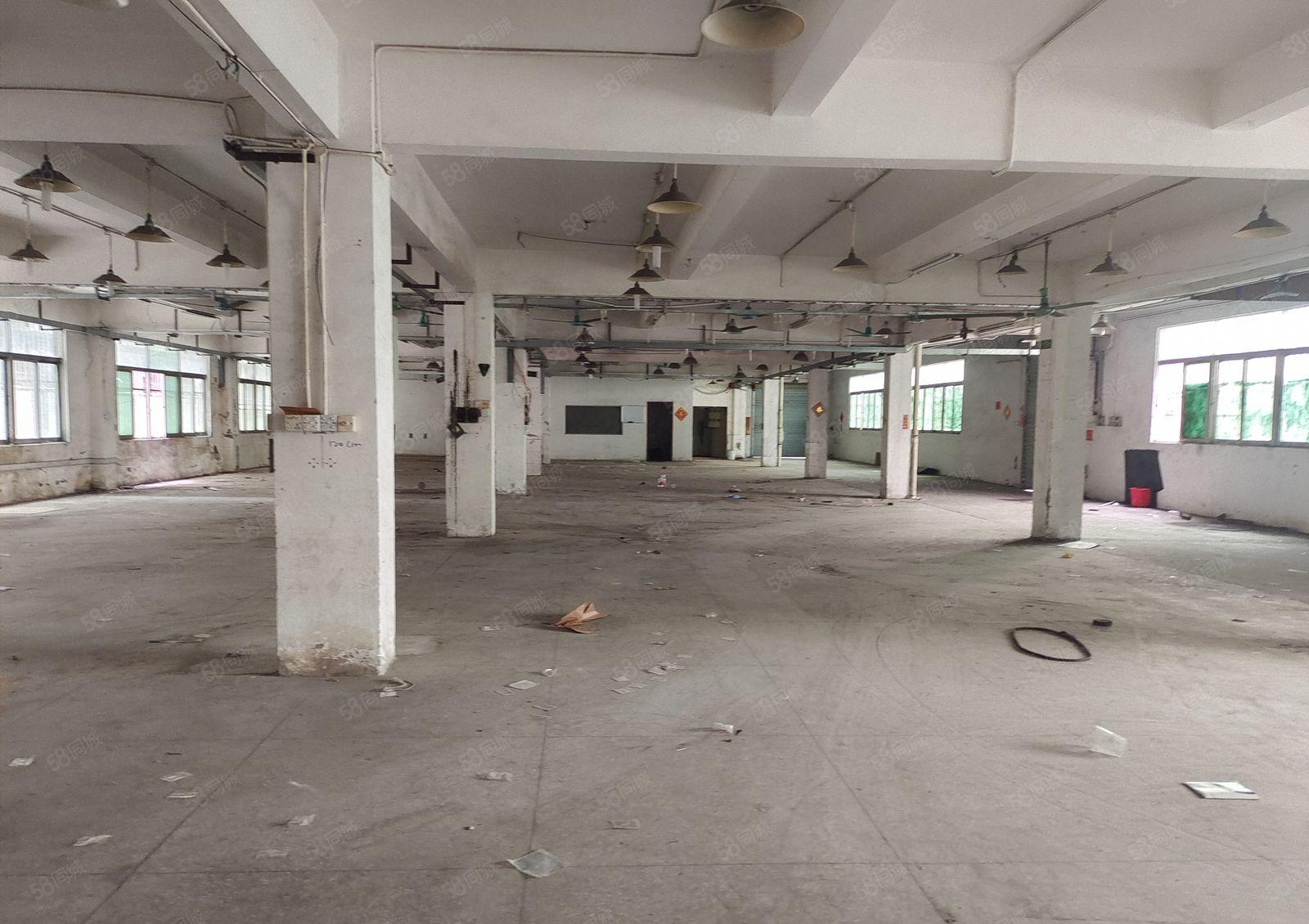 塘厦一楼1000平方厂房出租，现成办公室和水电，拎包生产