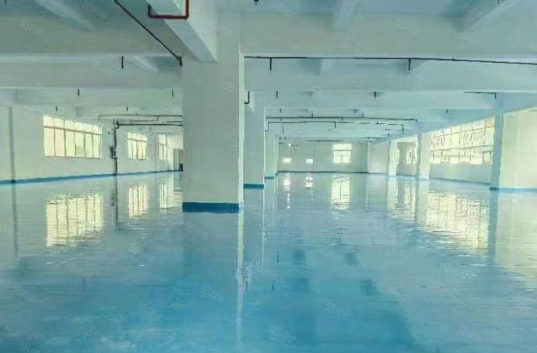 塘厦独门独栋9.9元每平，空地大，交通好！