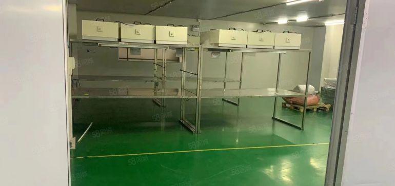 塘厦新出林村楼上1200平无尘车间，带办公室装修，配5吨电