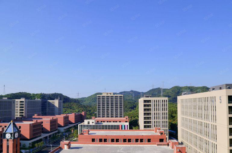 塘厦大坪靠观澜新出独院35万平带装修厂房仓库出租，大小分租