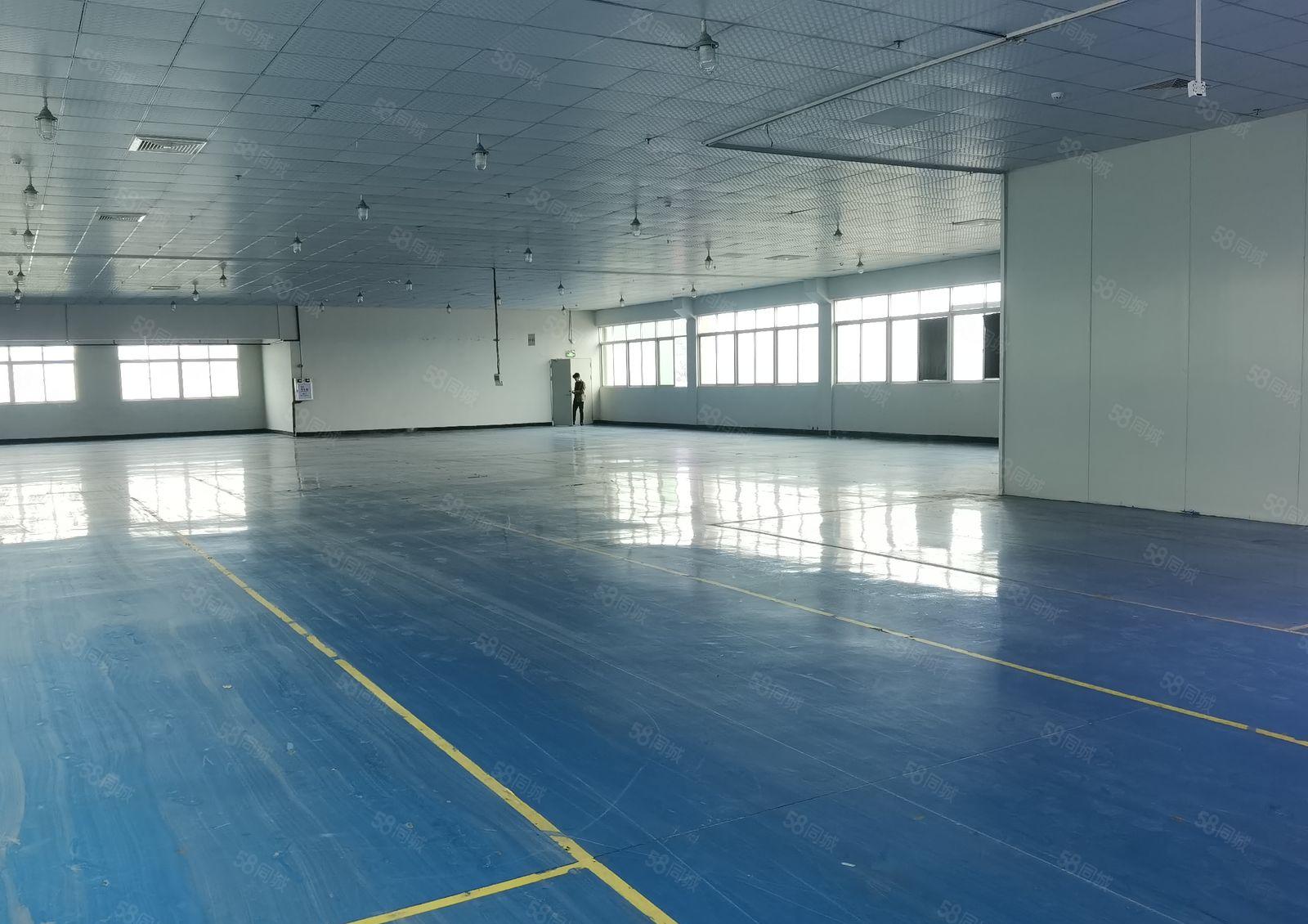 塘厦科苑城厂房实际面积1600平 全新 现成装修 可按需分租