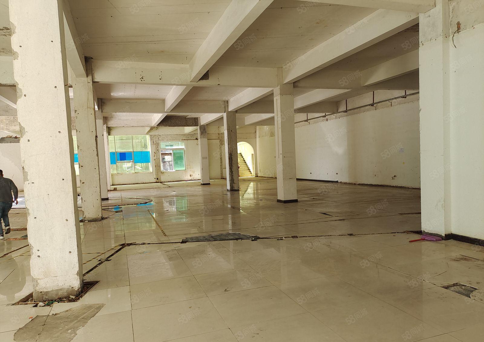 塘厦田心新出一楼800平方，适合各种行业