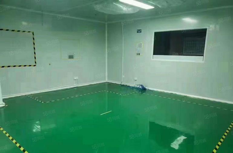 新出楼上整层2000平精装修无尘车间拎包入驻 原房东实际面积