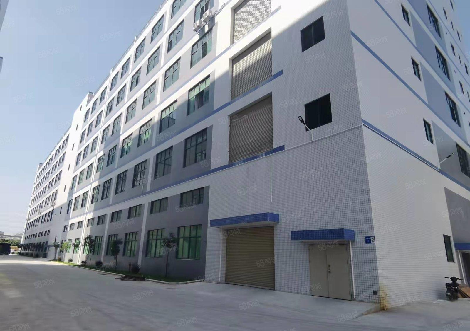 塘厦清湖头一楼6.5米高1500平带牛角可办环评厂房仓库出租