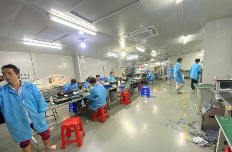 塘厦科苑城新出标准3楼800平方，千级无尘车间，无需转让费！