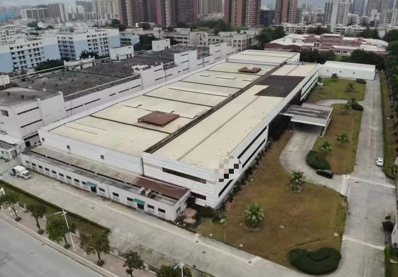 塘厦138独院厂房出租原房东实际面积16000平可分租可短租