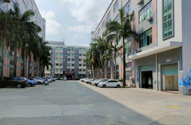 500平米起租  塘厦科苑城工业园区带装修厂房一楼二楼分租