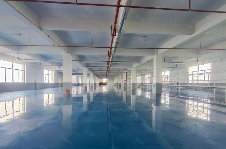 塘厦本地原房东新出标准独院带牛角适合五金注塑电子包装设备加工