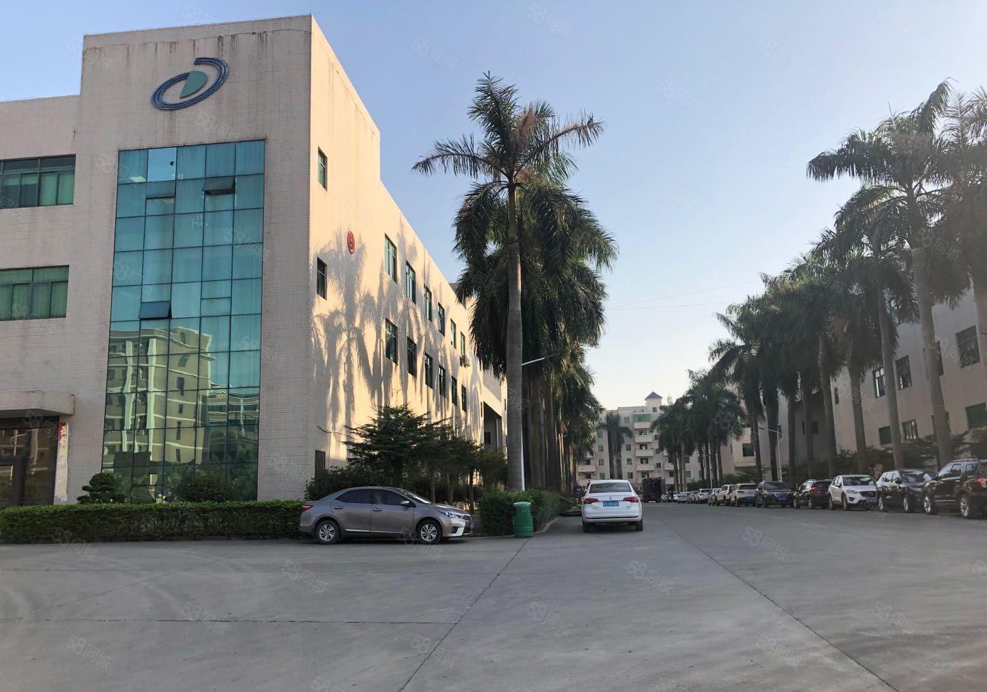 塘厦科苑城新出原房东红本独栋9000平厂房仓库出租，大小分租