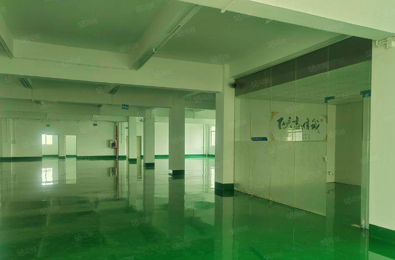 1400平精装修标准厂房2楼零公摊实际面积报12元可谈