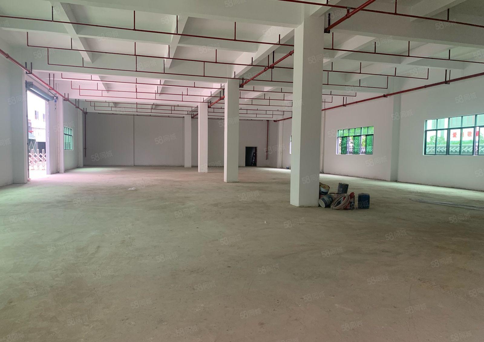 塘厦石鼓新出全新独院厂房6000平