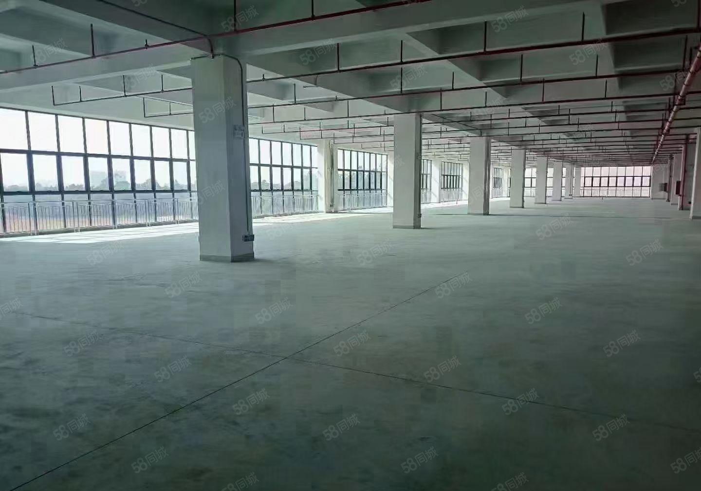 塘厦外环高速出口旁边一楼厂房出租水电线路齐全带国有证