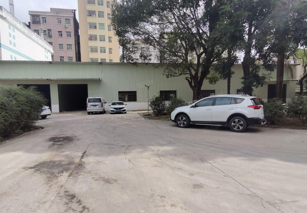 大坪原房东新建滴水7米钢构厂房实际面积适合仓库五金