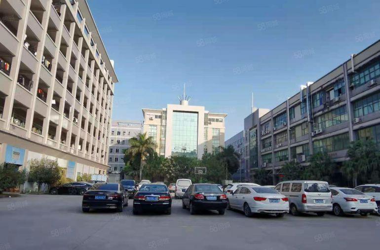 塘厦中心清湖头新出原房东楼上1000平厂房仓库出租，拎包生产