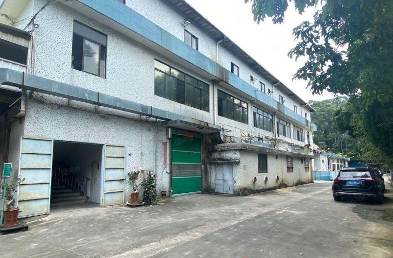 塘厦新出独门独院交通方便可分租