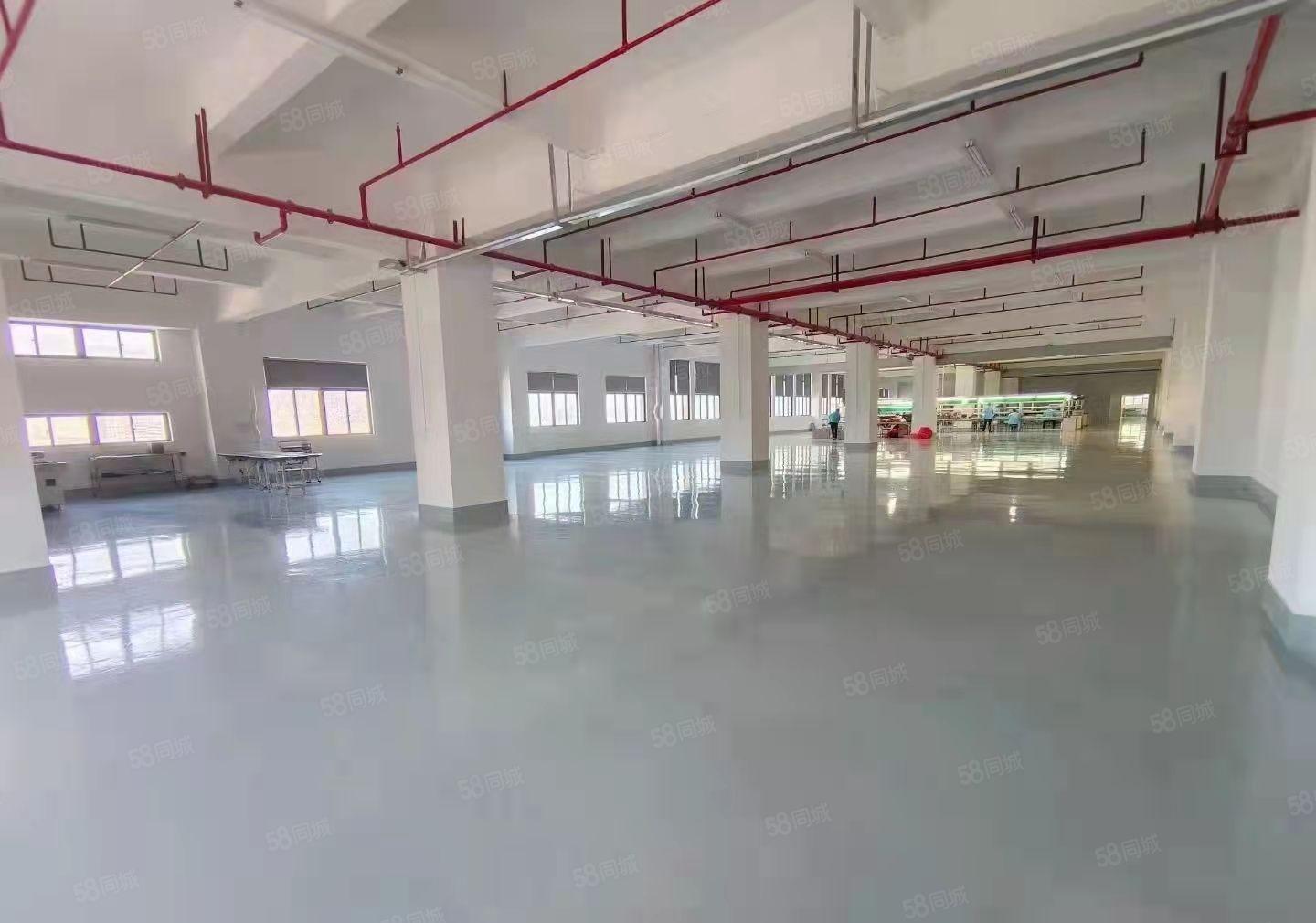 塘厦全新楼上厂房 原房东厂房急租15元每平 0公滩