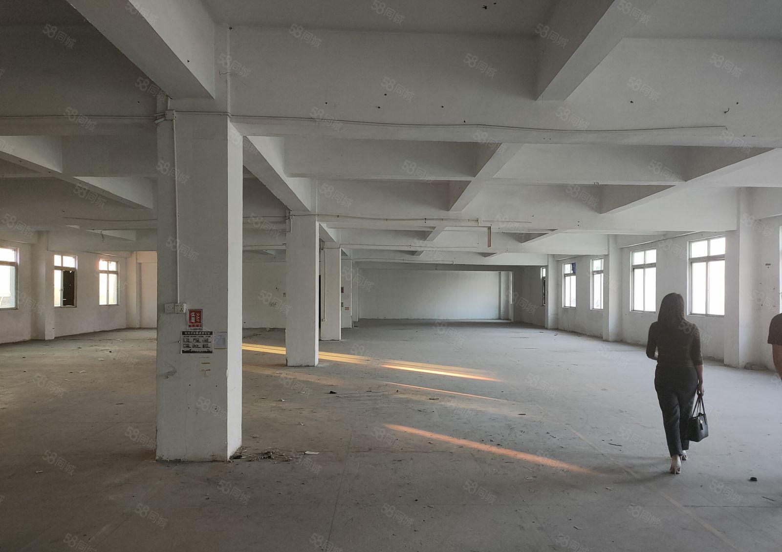 塘厦原房东独院厂房出租