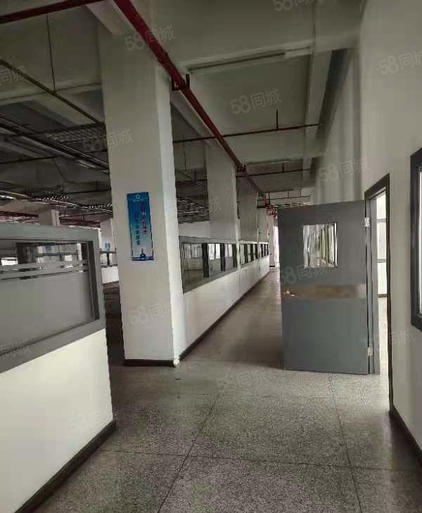 塘厦诸佛岭新出独院花园式厂房38700平，滴水6米，形象好。