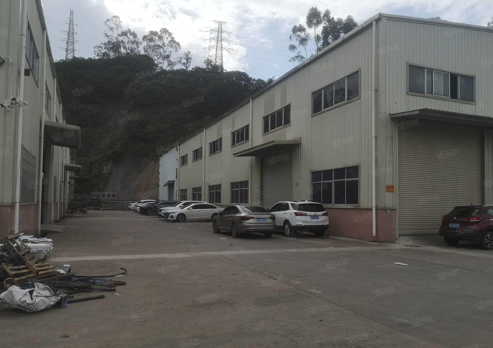 塘厦镇大坪新出单一层钢构1800平独院出租 滴水9米带装修