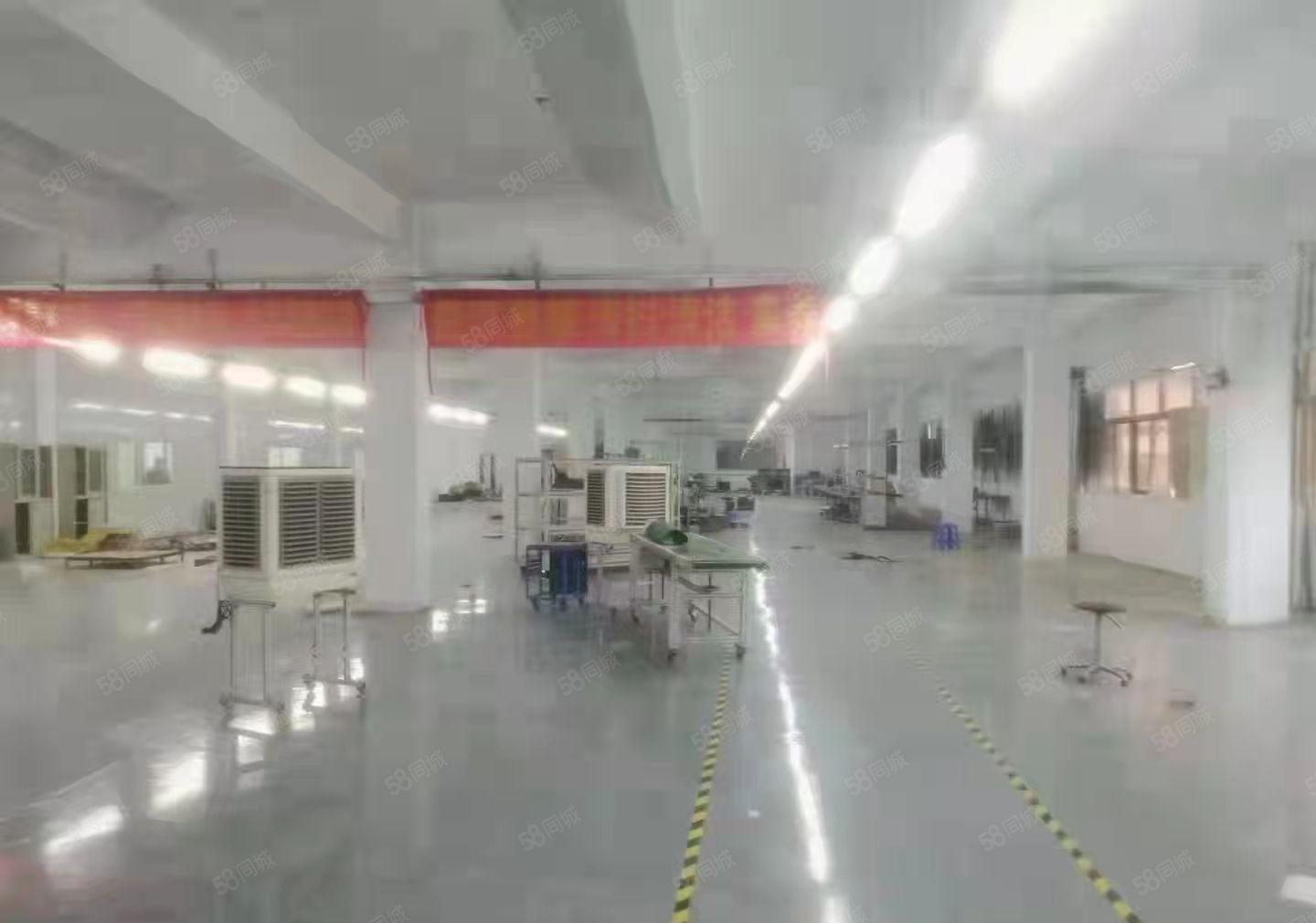 塘厦镇138新出楼上标准厂房2650平米出租