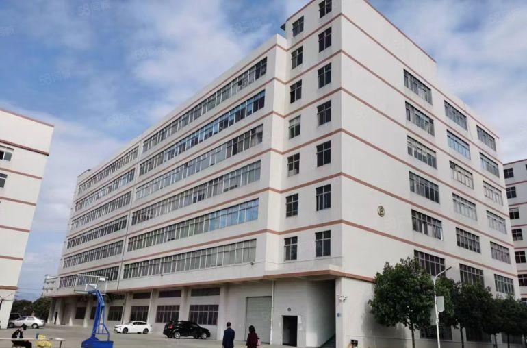 塘厦外环高速口石鼓新出村委楼上4000平厂房仓库出租，大小分