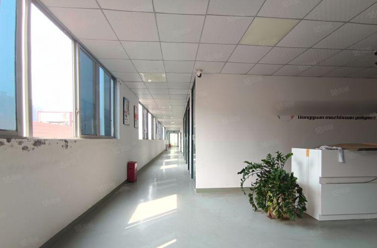 带装修厂房！塘厦精装修小面积三楼596平秒杀盘！好招工