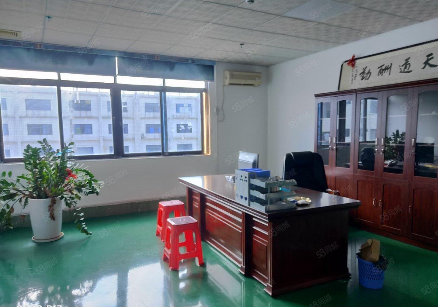 塘厦科苑城工业区原房东楼上1600平方红本标准仓库厂房出租可