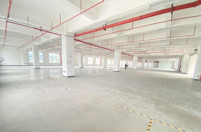 塘厦  原房东  特价6元  适合电子五金注塑家具纸箱等等