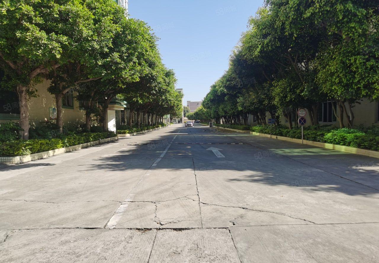 塘厦镇诸佛岭新出独院厂房4650出租可分租