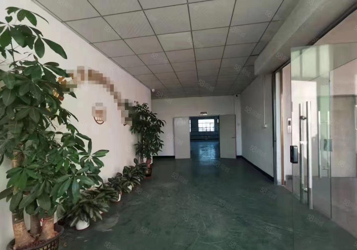 塘厦镇石马原房东楼上900平方