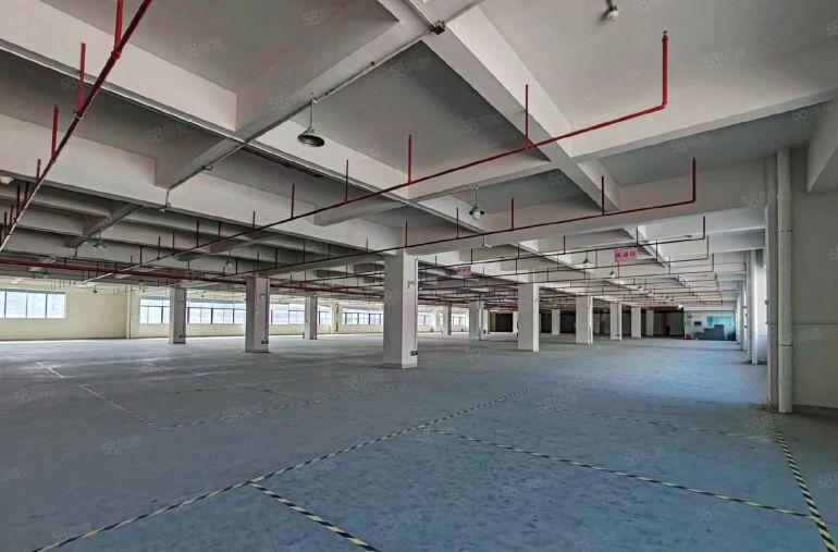 12元塘厦高速口精装修红本厂房出租，全新地坪漆水电全 可分租