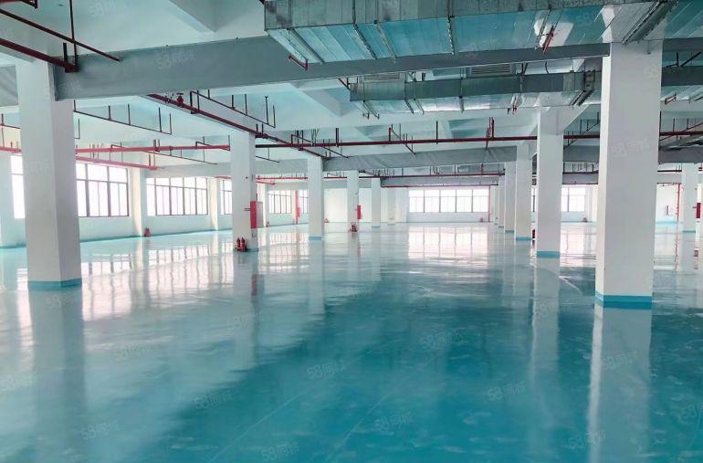 东莞塘厦清湖头450平精装出租适合做仓库电子等