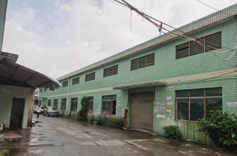 塘厦168工业区单一层钢构工业园独栋厂房分租1000平无柱子