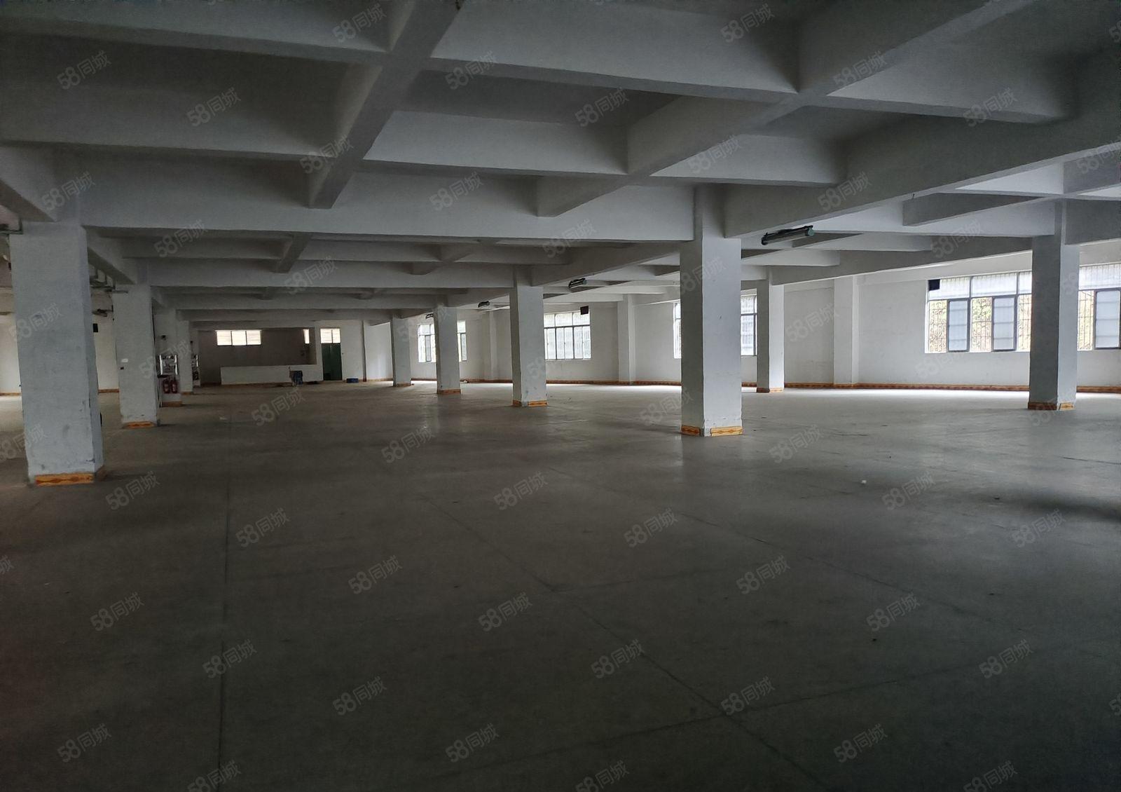 塘厦独门独院厂房出租，面积是4425平方，可整租可分租