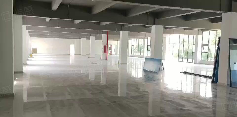 塘厦田心工业区独栋1000平原房东红本楼上仓库厂房出租可分租