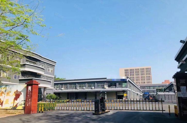 塘厦镇靠近观澜园区分租12楼7000平，现成水电豪装办公室