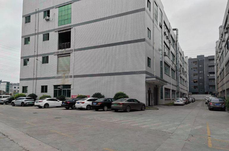 塘厦沙湖精装修楼上标准厂房3300平方出租500平起分租