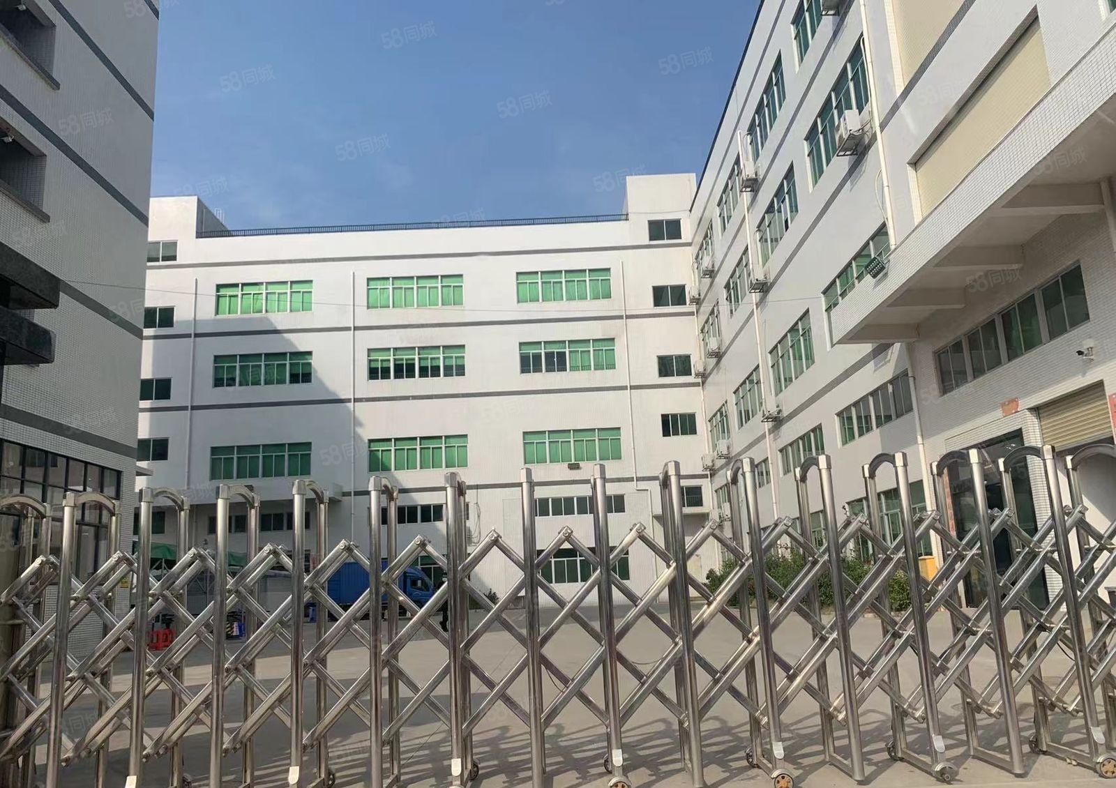 本地房东自建厂房大小出租！一楼6.5米配电大近林村高速配套全