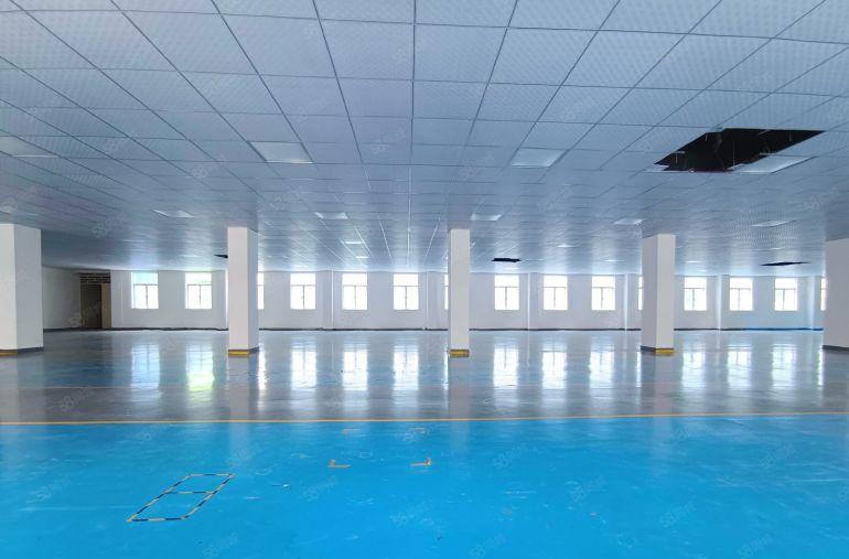 塘厦四村二楼精装洁净车间1560平，园区位置好招工，免租期长