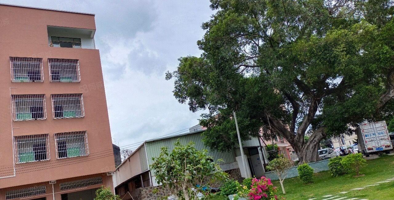 （原房东急租）塘厦桥陇全新一楼厂房328平