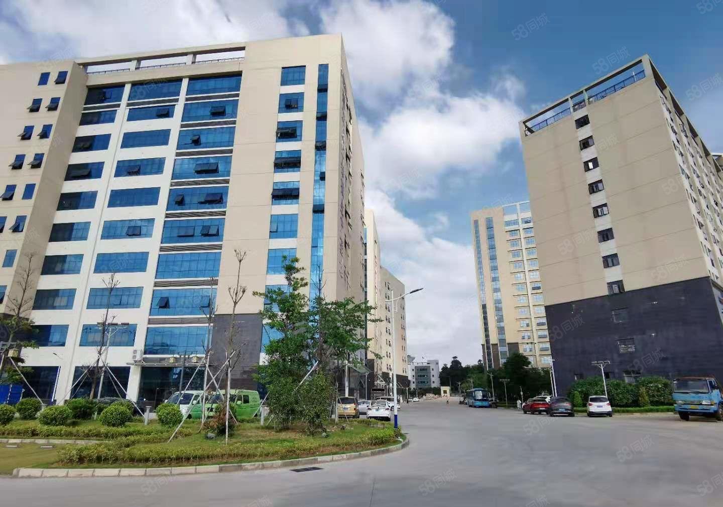 塘厦高速出口原房东一整层3000平无尘车间无转让费厂房出租